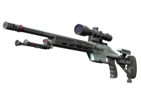 SSG 08 Dezastre